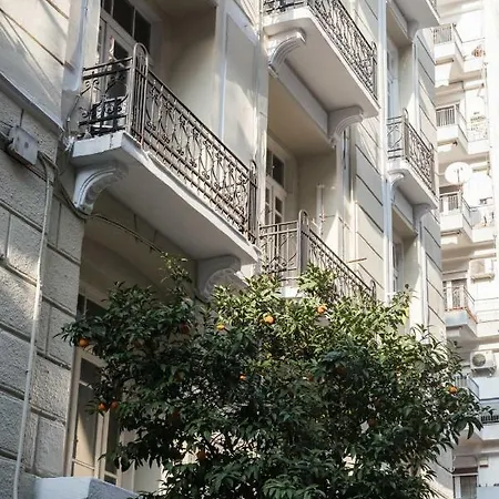 Cyclamen #colony_city_center Thessaloniki